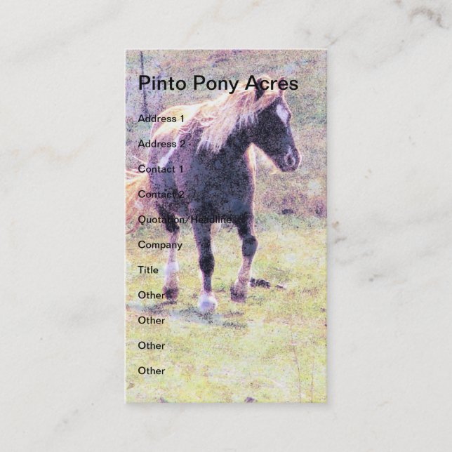 Pinto Pony Visitkort (Framsida)