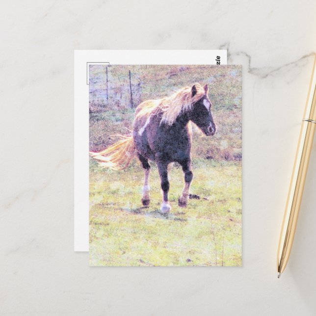 Pinto Pony Vykort (Fram/Back In Situ)