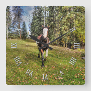 Pinto Ranch Horse Runin a Forested Fält Fyrkantig Klocka