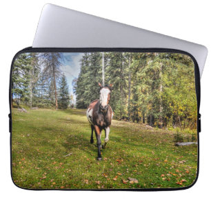 Pinto Ranch Horse Runin a Forested Fält Laptop Fodral