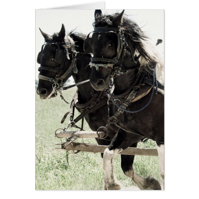 Pinto-utkast på arbetet hälsningskort (Framsidan)