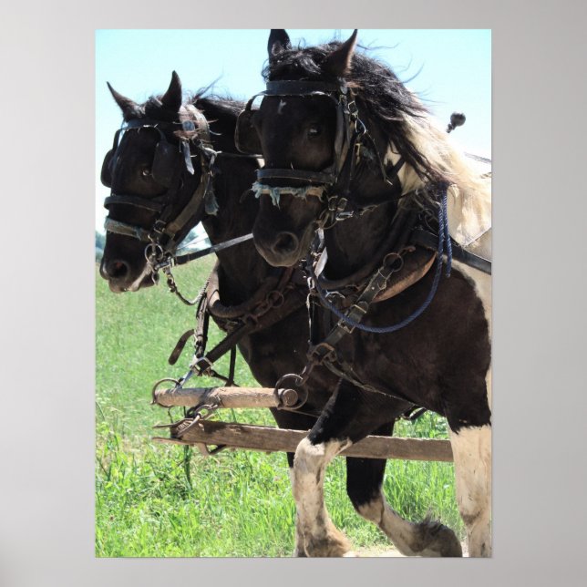 Pinto-utkast på arbetet poster (Framsidan)