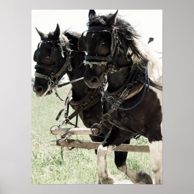 Pinto-utkast på arbetet poster (Framsidan)