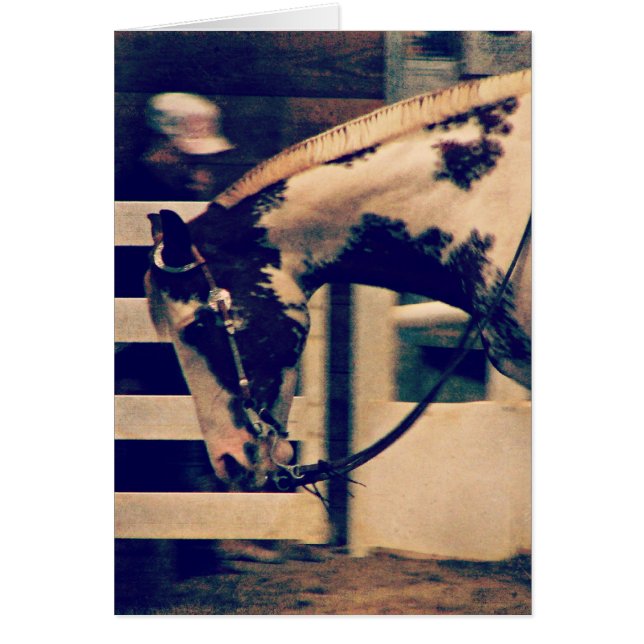 Pinto Western Hälsningskort (Framsidan)