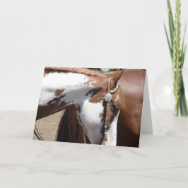 Pinto Western Horse Kort