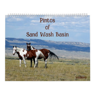 Pintos of Sand Tvätta Basin Calendar Kalender