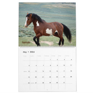 Pintos of Sand Tvätta Basin Calendar Kalender