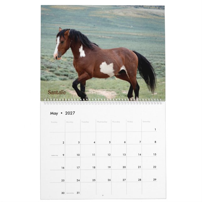 Pintos of Sand Tvätta Basin Calendar Kalender (May 2027)