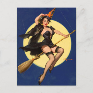 Pinupet Retro Flies Witch Vykort