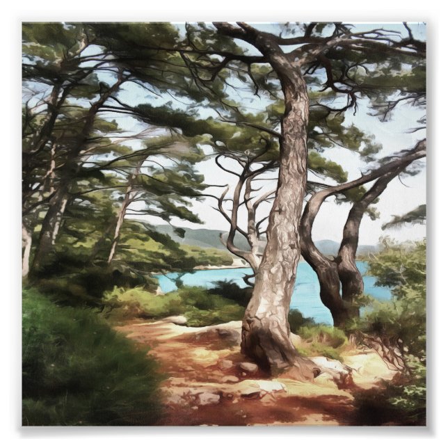 Pinus pinea Gräs Träd Forest Painting Fototryck (Framsidan)