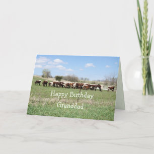 Pinzgauer cattle8399- Custze any tillfälle Tack Kort