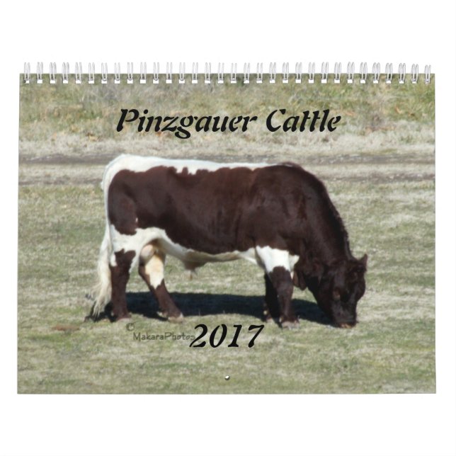 Pinzgauer Kalender-ändring år 2017 som behövt Kalender (Omslag)