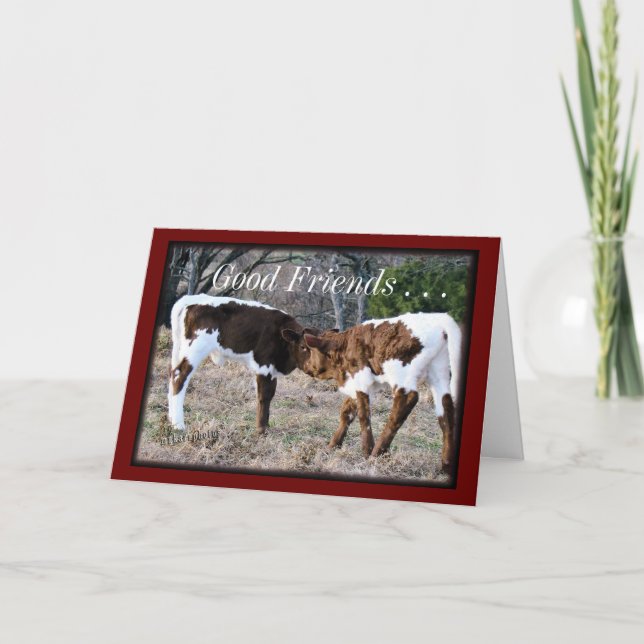 Pinzgauer Kalvar AnyOccasion kort-skräddarsy Kort (Framsida)