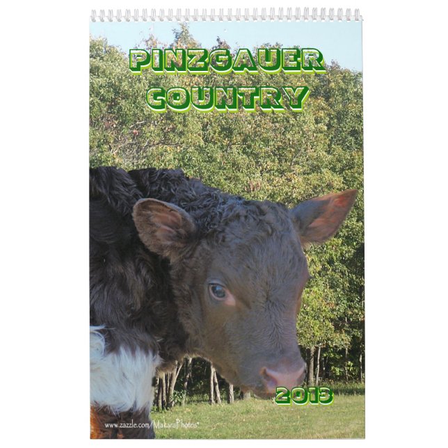 Pinzgauer nötkreatur 2013 Calendar- personifierar Kalender (Omslag)