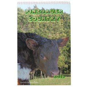 Pinzgauer nötkreatur 2013 Calendar- personifierar Kalender