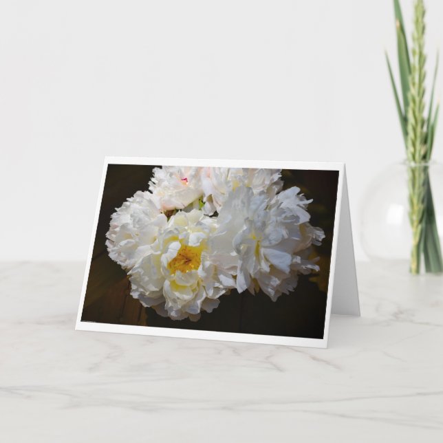 Pion, kort (Framsida)