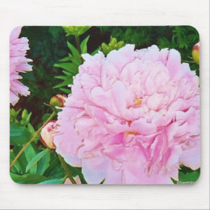 Pion Mousepad Musmatta