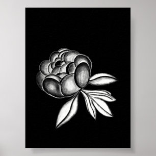 pion pennteckning poster