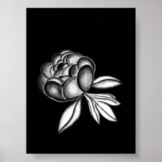 pion pennteckning poster