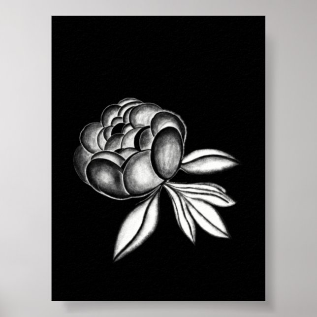 pion pennteckning poster (Framsidan)