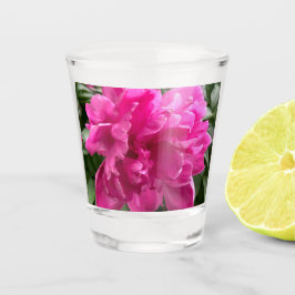 Pion Skålglas