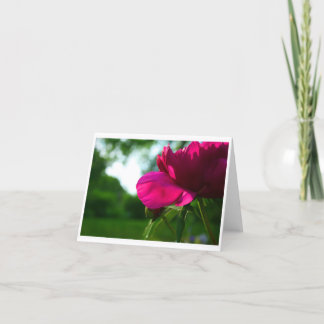 Pion tomma Notecard Kort