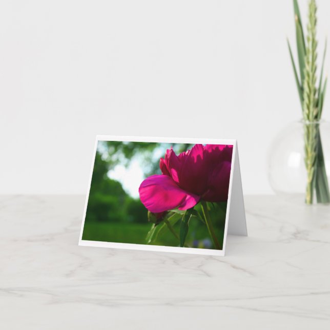 Pion tomma Notecard Kort (Framsida)