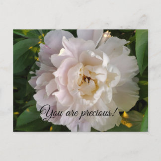 Pionblomma Helg Vykort