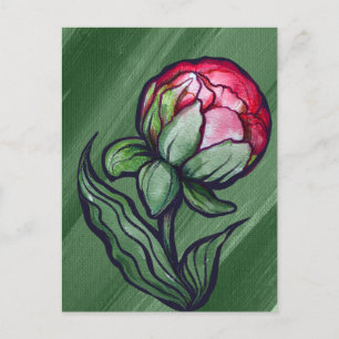 Pionblomma Pioner Trädgårdskonst Rosa Vykort