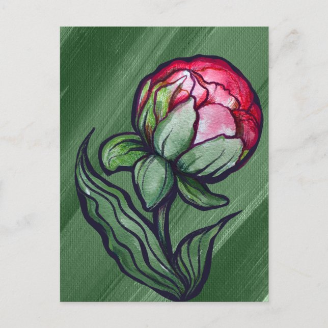 Pionblomma Pioner Trädgårdskonst Rosa             Vykort (Framsida)