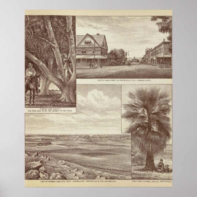 Pioneer Land Co-tract, Porterville Poster (Framsidan)