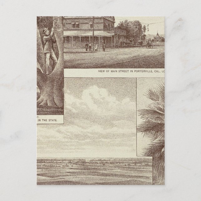 Pioneer Land Co-tract, Porterville Vykort (Framsida)