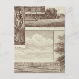 Pioneer Land Co-tract, Porterville Vykort