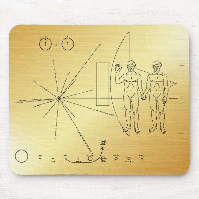 Pioneer Plaque Adam & Adam Musmatta (Framsidan)