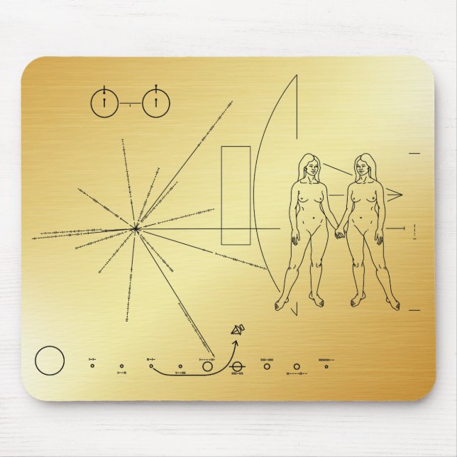 Pioneer plaque Kvinnor Musmatta (Framsidan)
