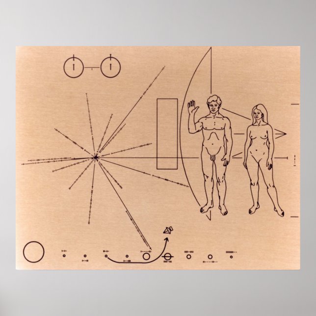 Pioneer Plaque Poster (Framsidan)
