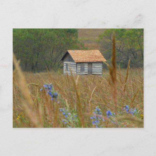 Pioneers Park Nature Center Lincoln, NE 2NW Vykort (Framsida)