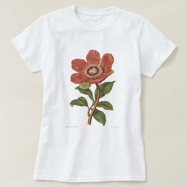 Pionen den botaniska antika victorianen avbildar t shirt (Design framsida)