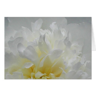 Pionen flammar hälsningskort