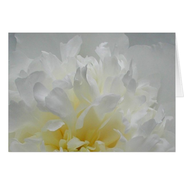 Pionen flammar hälsningskort (Framsidan Horizontal)