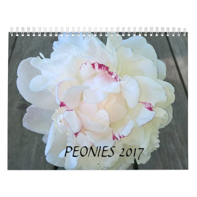 Pioner Calendar 2017 Kalender (Omslag)