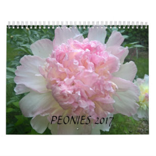 Pioner Calendar 2017 Kalender