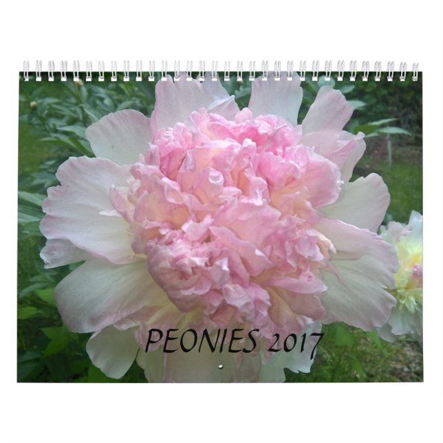 Pioner Calendar 2017 Kalender (Omslag)