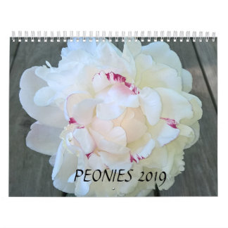 Pioner Calendar 2019 Kalender