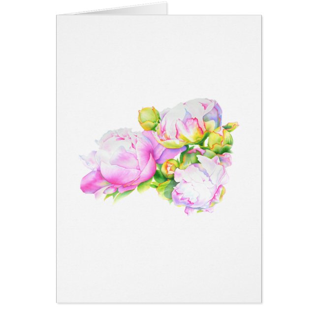 Pionér, rosa, vita, akvarell blomsterkonst hälsningskort (Framsidan)