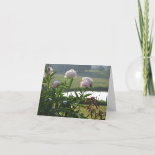 Pionnotecard Kort