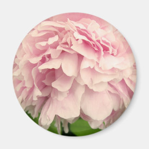 PionPetals Magnet