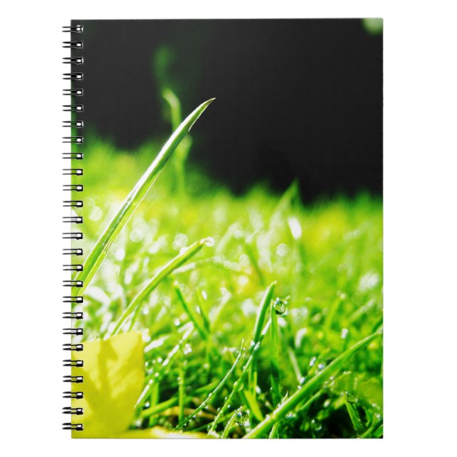 pip anteckningsbok med spiral (Framsidan)