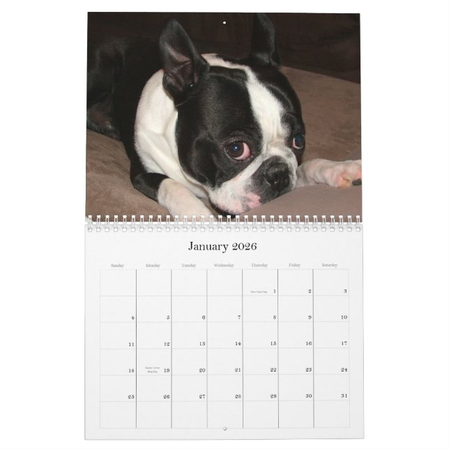 Pipblåsare & Pinocchio 2009 Kalender (Jan 2026)