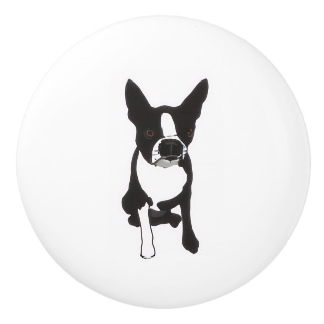 Piper Drawer Pulls Knopp (Framsidan)